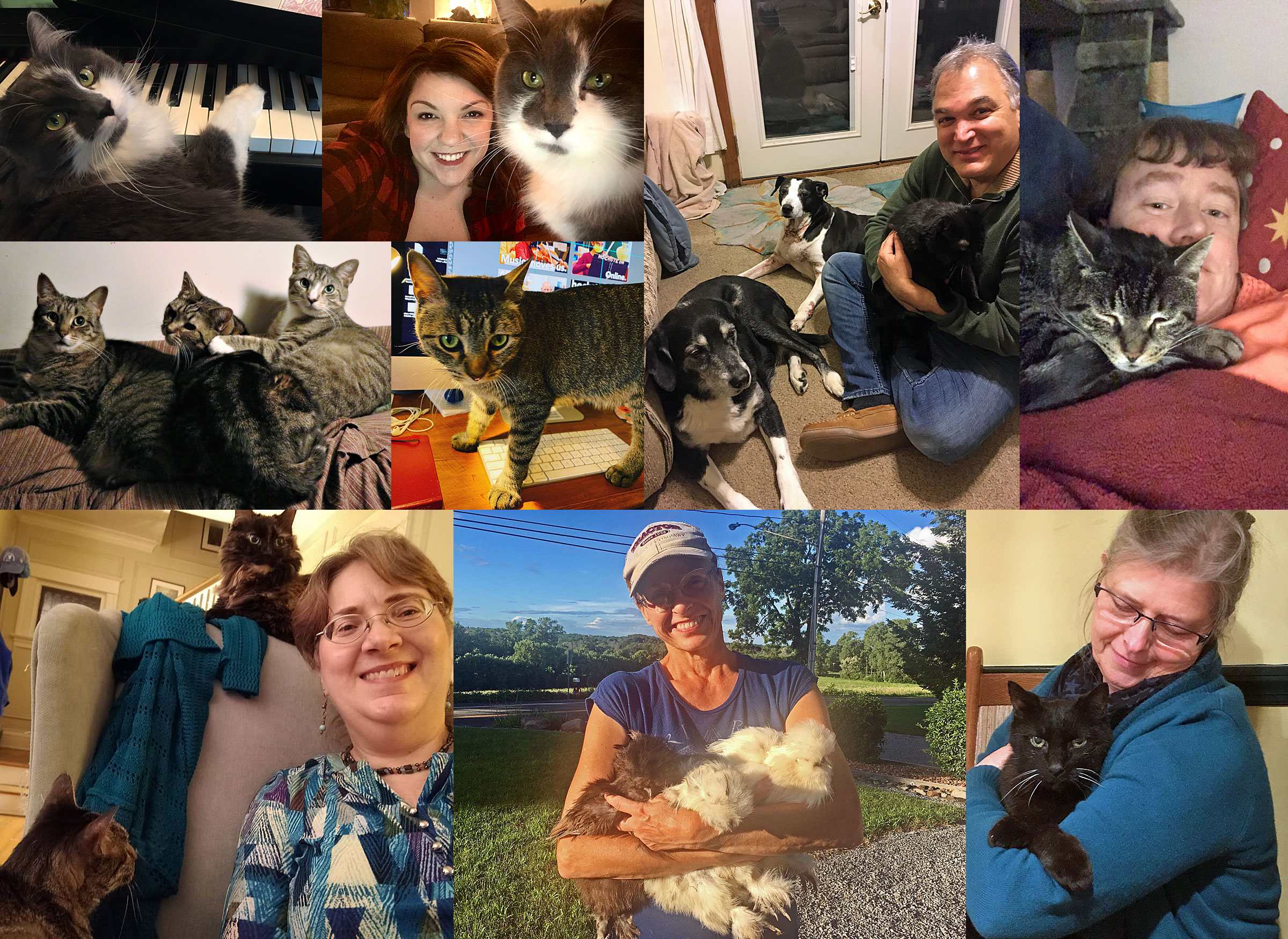 Hochstein faculty and staff celebrate “Love Your Pet Day”