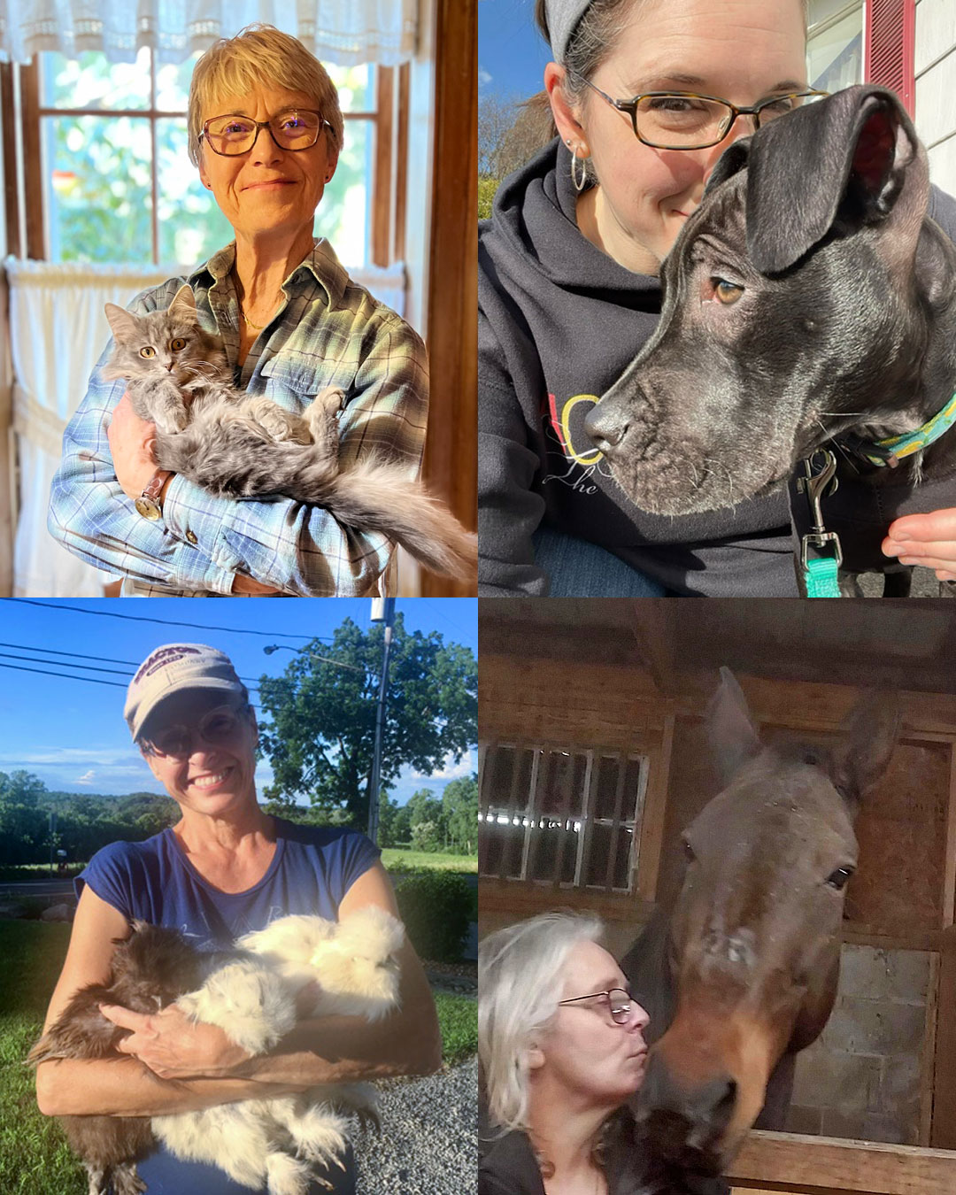Hochstein faculty and staff celebrate “Love Your Pet Day” 2023