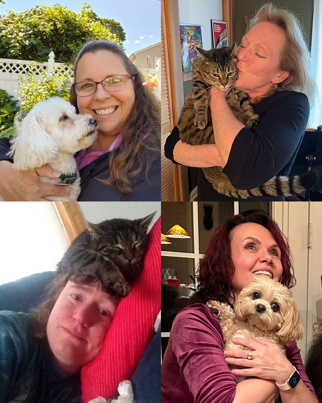 Pet-Day-2023-collage...
