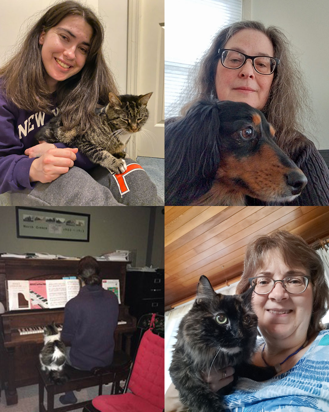 Pet-Day-2023-collage...