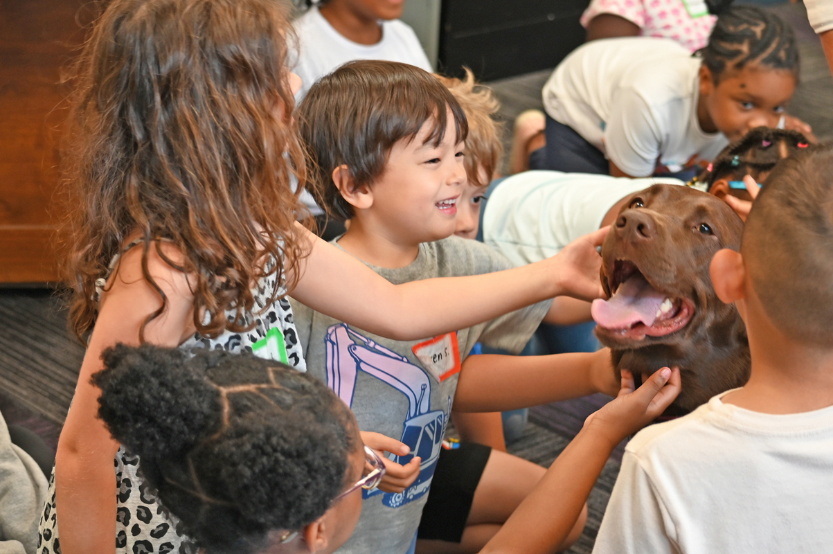 AIA-Week-2_20240710_Dogs_53006_web