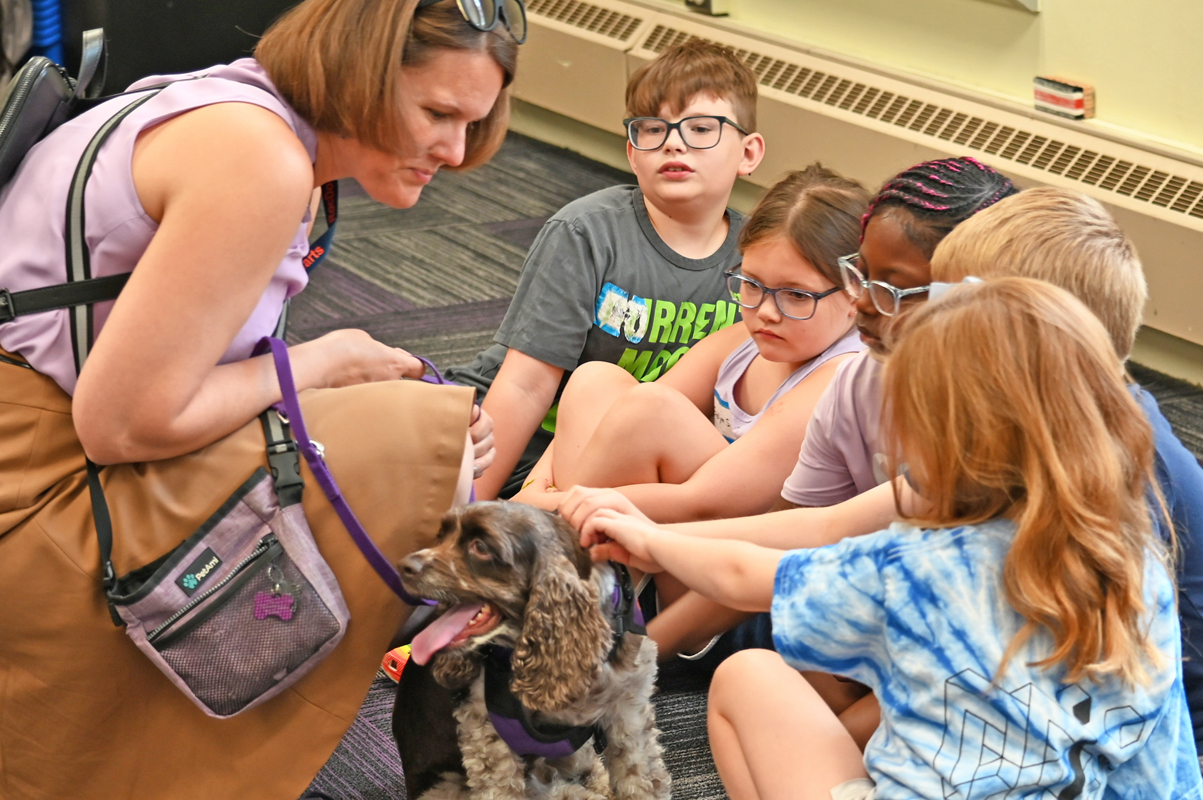 AIA-Week-2_20240710_Dogs_53018_web