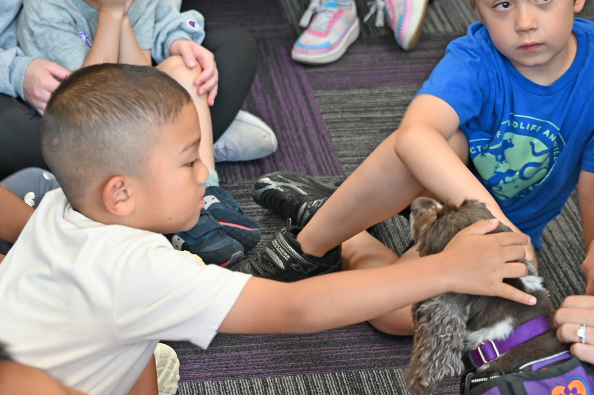 AIA-Week-2_20240710_Dogs_53037_web
