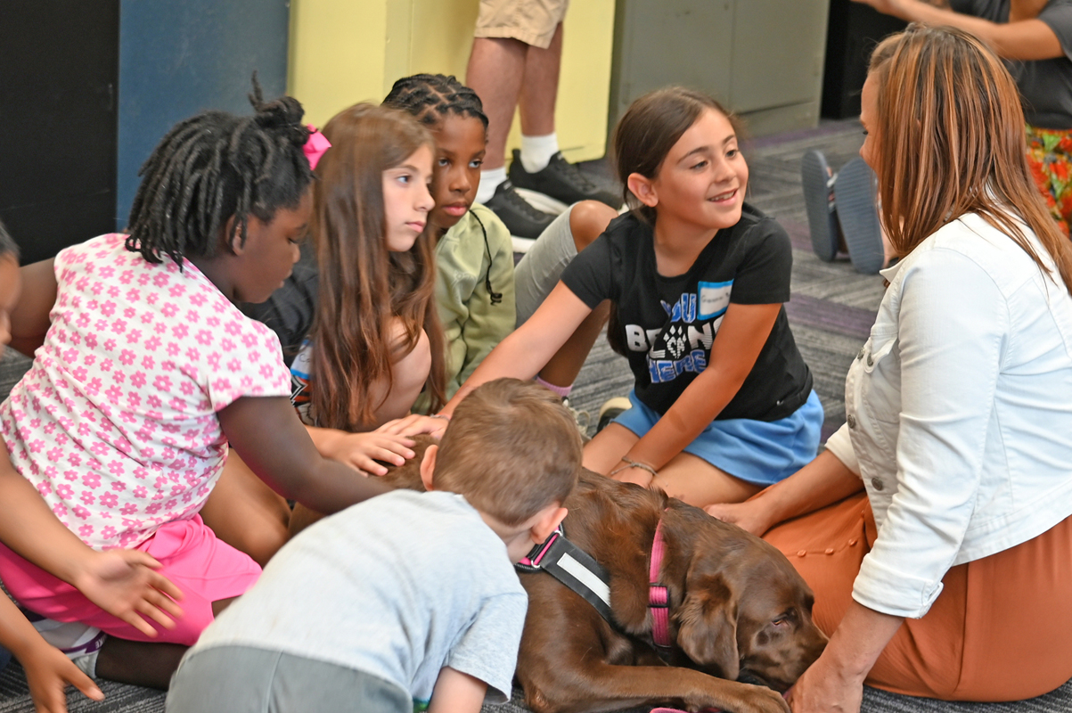 AIA-Week-2_20240710_Dogs_53045_web