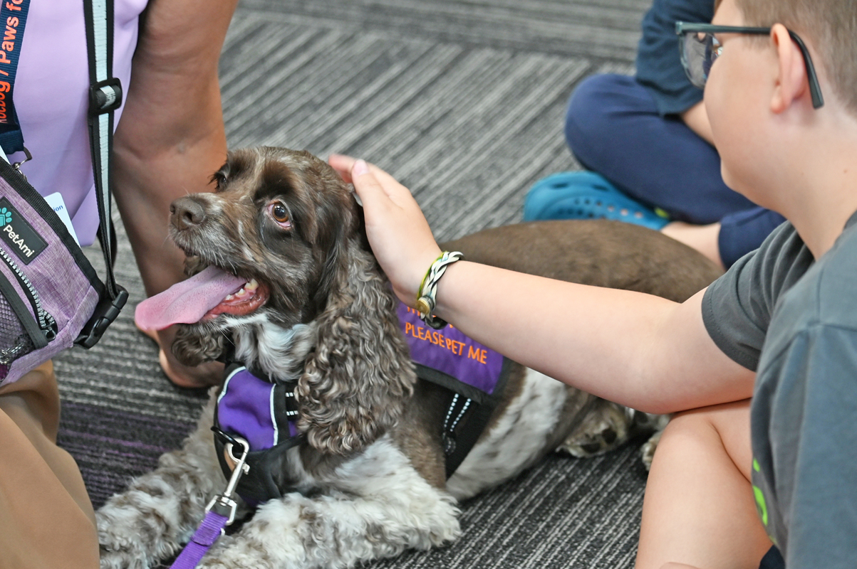 AIA-Week-2_20240710_Dogs_53051_web