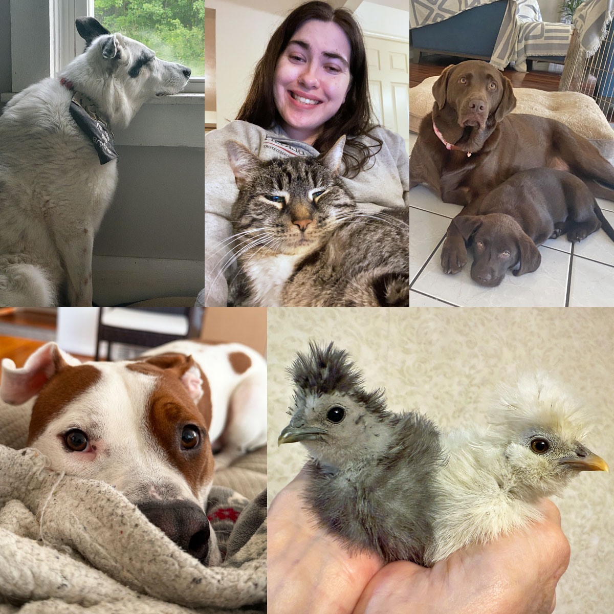 Love-Your-Pet-2025-2...