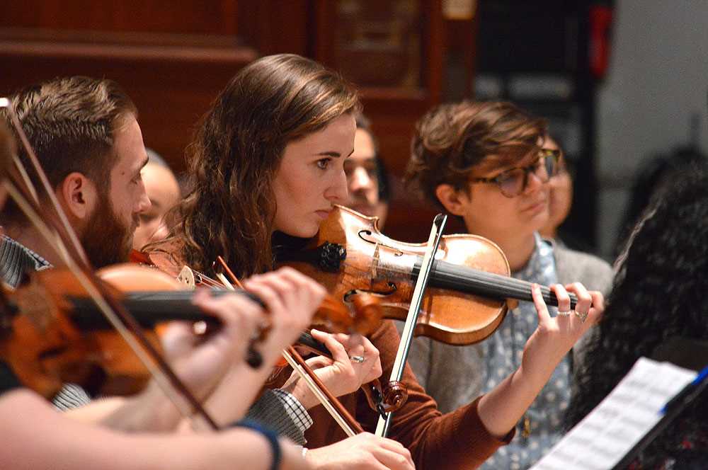 Adult Ensembles